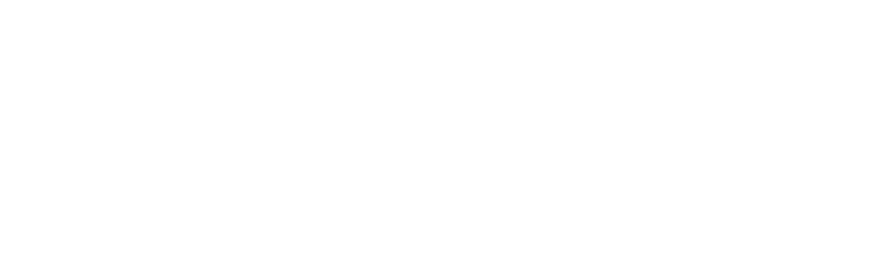 Prompting Integration and Consulting LLC