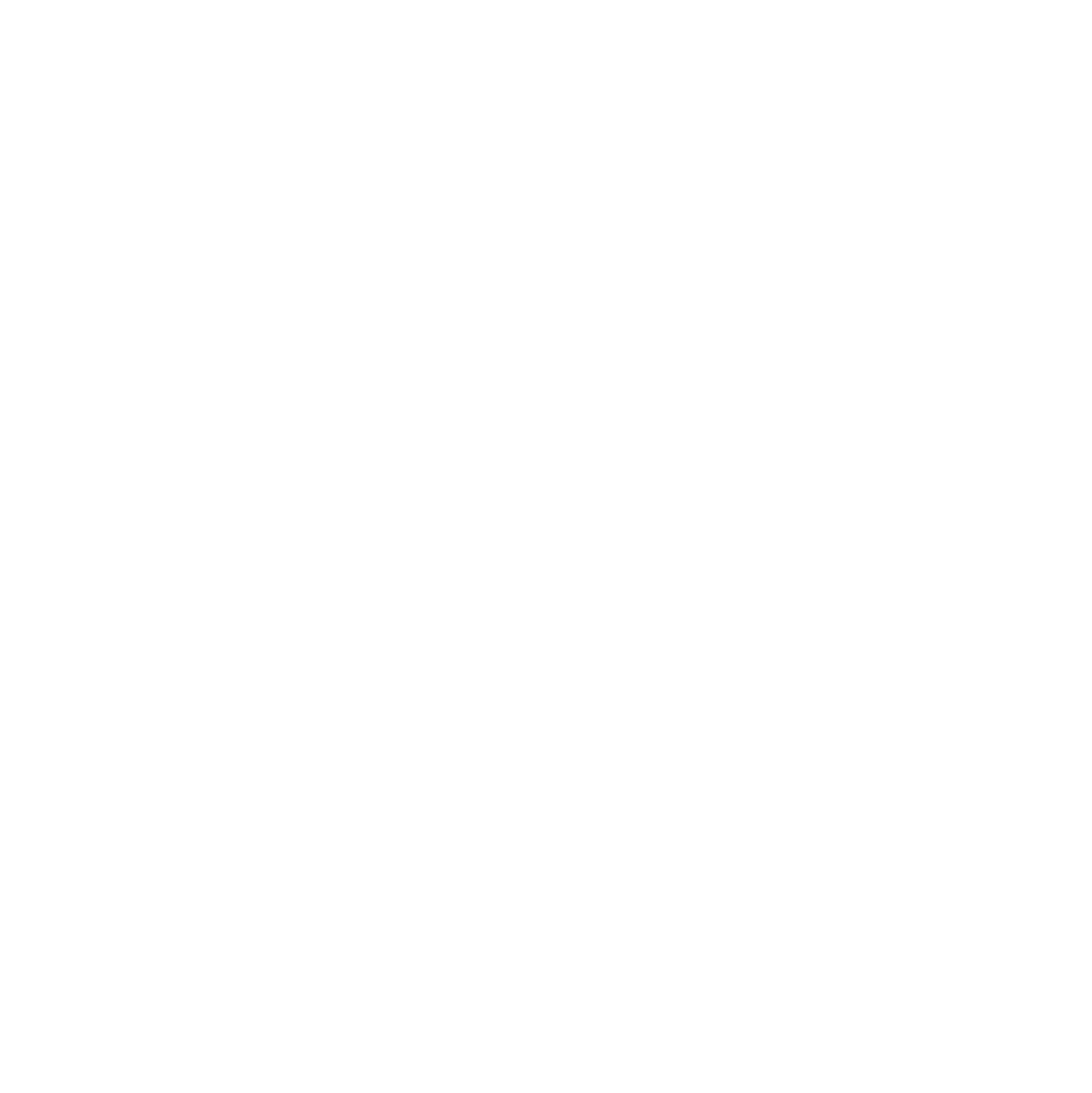 Prompting Integration and Consulting LLC